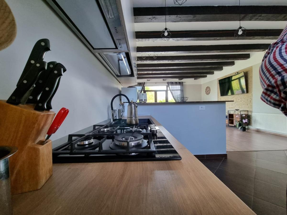 Casa Yla Vila Piatra Neamţ Exterior foto