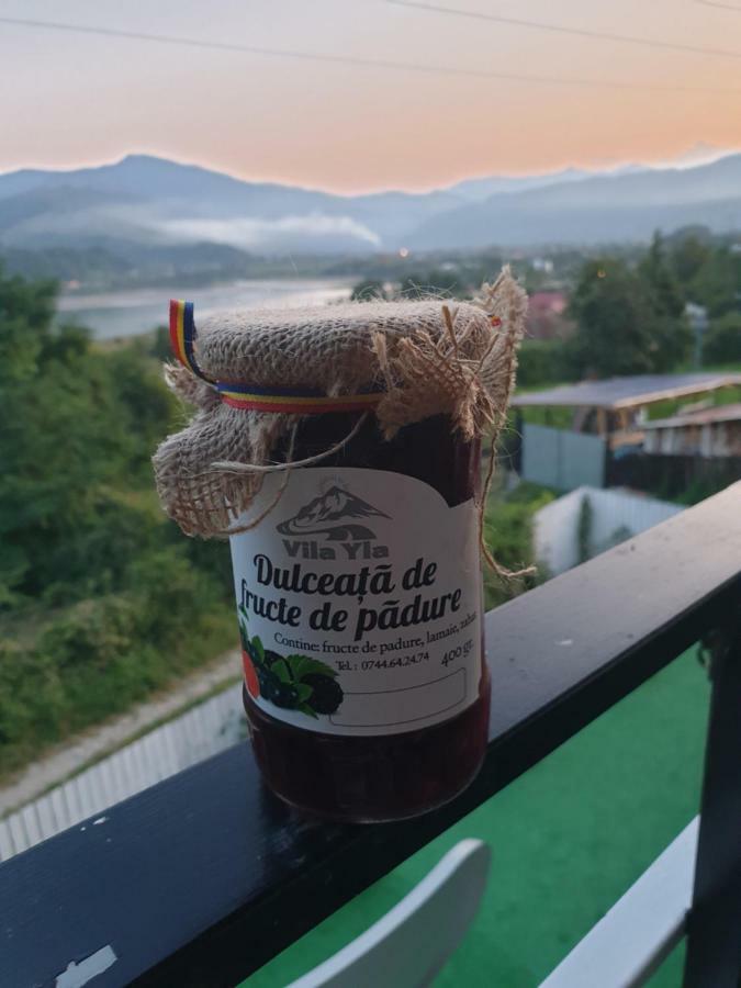 Casa Yla Vila Piatra Neamţ Exterior foto